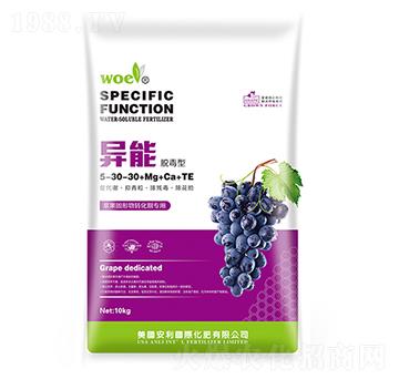 ����Ó����5-30-3