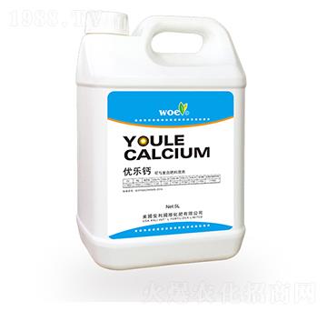 ��(y��u)���}-�֠�