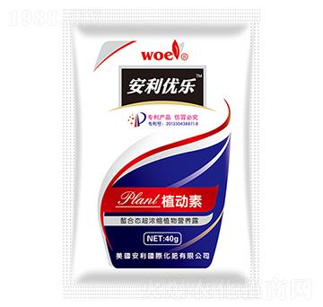 ֲ����-�֠�