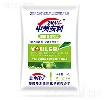 �������猣��-�֠�