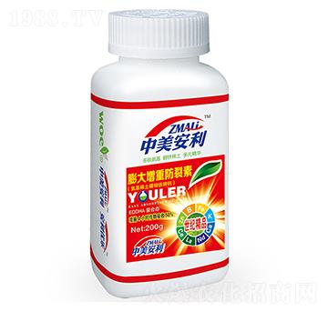 ������ط�����-�֠�