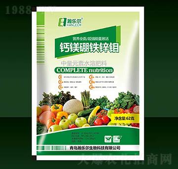 �}�V���F�\�f-嫘���