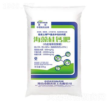 ������}��-���Z-�(y��ng)��