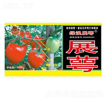 番茄花序萼片伸展液-綠浪展萼-綠浪生物