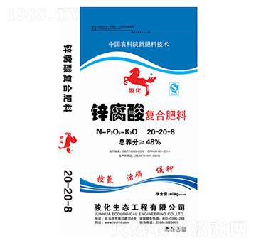 �\�����(f��)�Ϸ���20-20-8-�E��