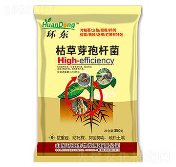 �ݲ�ѿ�ߗU��-�h(hu��n)�|-�е����r(n��ng)