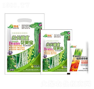 ���L��ֱ���v��-�n��-