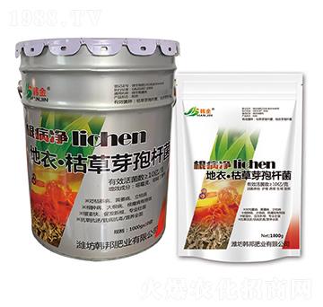 ���¡��ݲ�ѿ�ߗU��-��