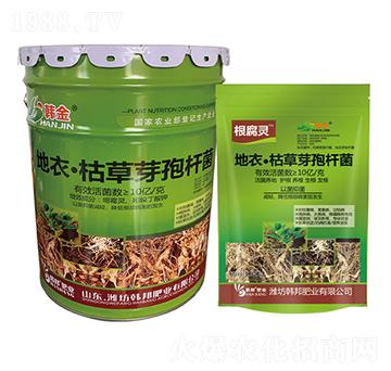 ���¡��ݲ�ѿ�ߗU��-��