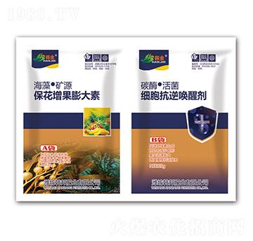 �������������-��(x��)����