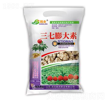 ���������-�n��-�n��ʘI(y��)