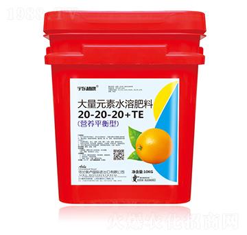 營(yíng)養(yǎng)平衡型大量元素水溶肥料20-20-20+TE-宇東植康-圣金肥業(yè)