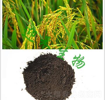 ���(zhu��n)�÷�-ӭ������