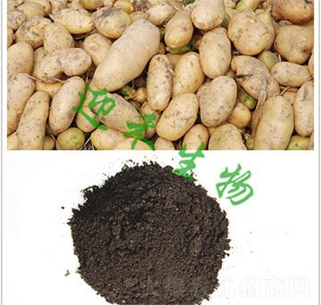 �R��������ЙC��-ӭ������