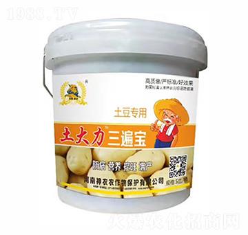 土豆三遍寶-土大力-河南神農