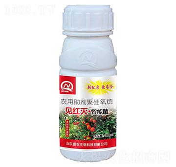 Ҋ�t�硤���ܾ�-���r(n��ng)����