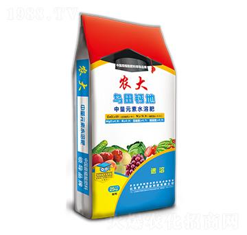 �����{(di��o)�턩ϵ��-�����}��-�r(n��ng)�����B(t��i)