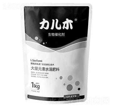 力兒木進(jìn)口生物催化劑-港儲