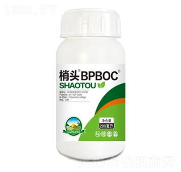 200毫升梢頭大量元素水溶肥料-青農(nóng)奇寶