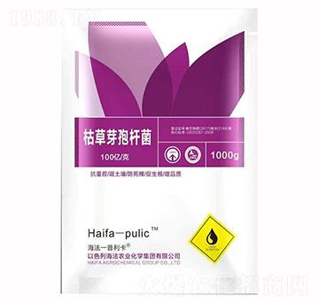 �ݲ�ѿ�ߗU��-������