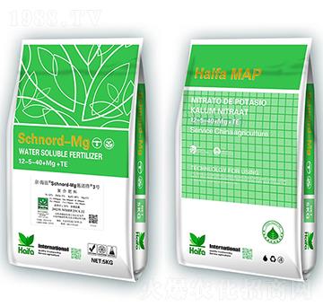 ʩ�Z��3̖(h��o)12-5-40+Mg+Te-�������Q(m��o)