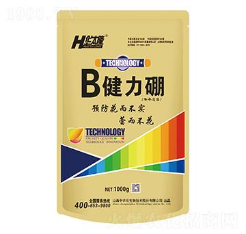 ������-���r(n��ng)��