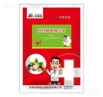 ���t��ֲ������-������