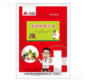 ̿��ֲ������-������