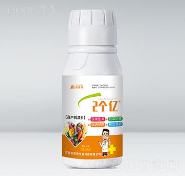 �߮a�̼���-2���|-������