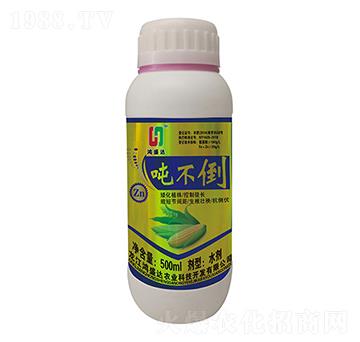 ������-��ʢ�_(d��)