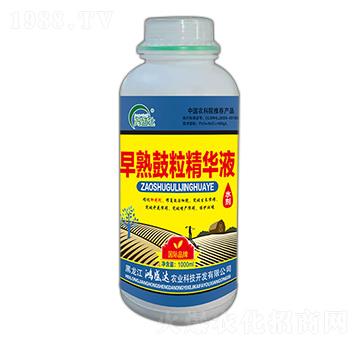 ����������AҺ-��ʢ�_