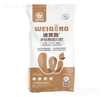 ����ø���׷�-���Sɢ-��������