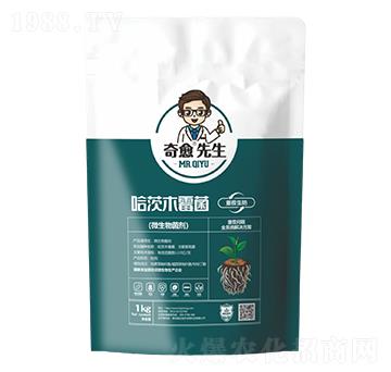 ����ľù���ز�����-��