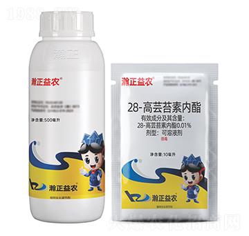 28-���|̦�؃�(n��i)������