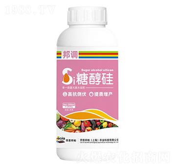 �Ǵ���-���{-�ڶ����