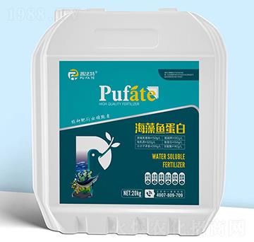 �����~����-�շ���