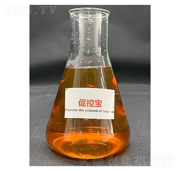 �ٿ،�-��������