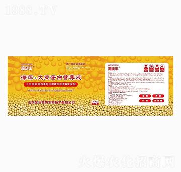 ����+�󶹵��נI�B(y��ng)Һ-�����S-�����_(d��)����