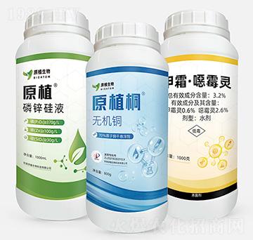 �o(w��)�C(j��)�~+���\��Һ+��˪���fù�`-���o(w��)�n-ԭֲ����