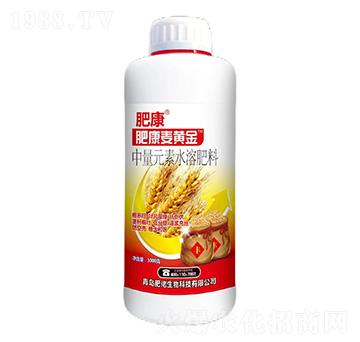 1000������Ԫ��ˮ��