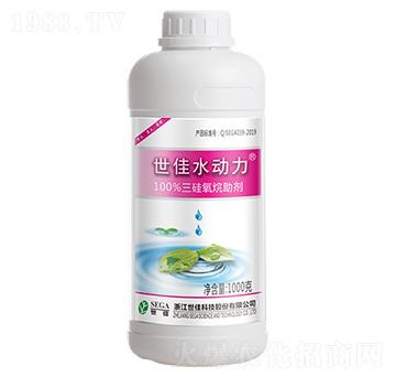 ������������1000g