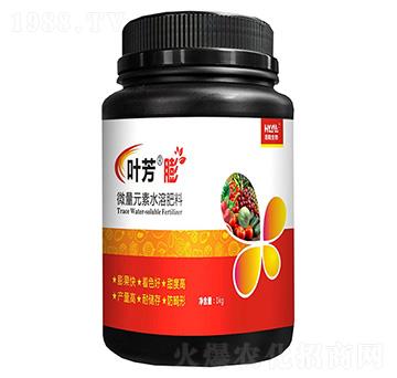 �~����-�������