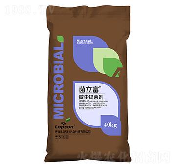 ������΢�������-�Zؐ