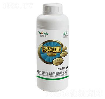 Һ�w���-��ؐ��