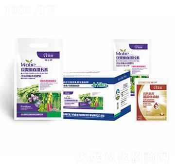 ������~���L��-嫰�����