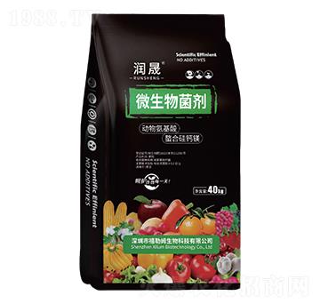 ΢�������(�w��)-����-����ķ