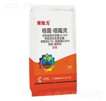 ���������ڲ���-������-����ɭ