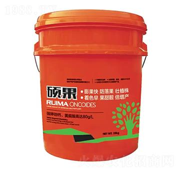 �T���_ʩ��-�̶�����