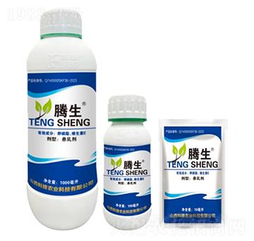 ����֬���S����E-�v��-�õ���