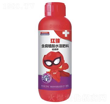 �t�b-�������a(ch��n)��-����